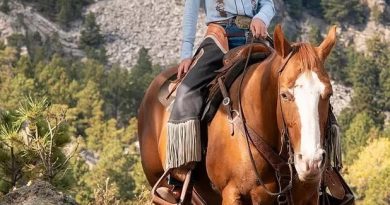 川普撤换国土安全部长诺姆  2.2亿美元广告争议与多重风波引发